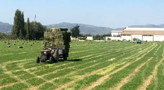 Germencik Belediyesi'nden üreticiye katkı