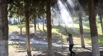 Mersin Büyükşehir'in Beyazsinek Mücadelesi Sürüyor