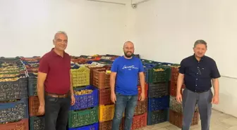 Nazilli'de kuru incir alım sezonu başladı