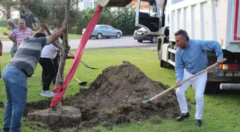 POYD vefat eden üyelerinin adını zeytin ağaçlarında yaşatacak