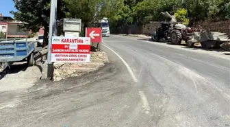Siirt Eruh'ta bir hayvanda şarbon görülmesi nedeniyle ilçeye giriş-çıkışlar yasaklandı
