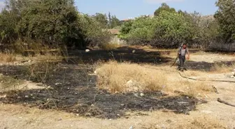 Hatay'da ikinci kez farklı noktada bahçe yangını