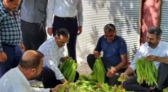 AK Parti heyeti Kahta'nın merkez ve köylerini gezdi