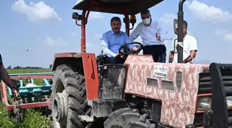 Vali ceketi çıkardı, traktörle yer fıstığı hasadı yaptı