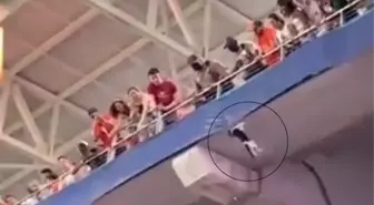 ABD'de tribünden aşağı düşen kedinin mucize kurtuluşu herkesi sevince boğdu