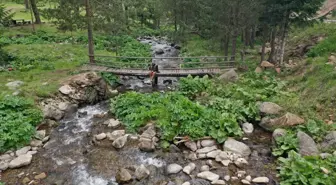 Bozkır'ın yaylaları Karadeniz'i aratmıyor