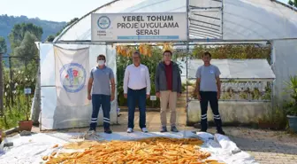 Ereğli'de 14 çeşit yerel tohum üretildi