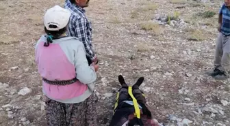 Kayalıklardan düşen ve ateş alan tüfeğiyle yaralanan çoban kurtarıldı