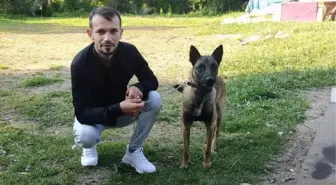 KAZADA KISIR KALAN KÖPEĞİN VETERİNER MASRAFLARINI SİGORTA ŞİRKETİ KARŞILADI