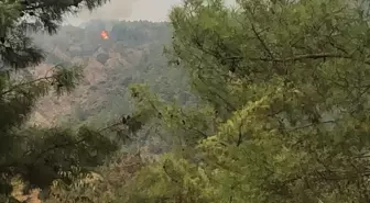 Son Dakika | Marmaris'te çıkan orman yangını kontrol altına alındı