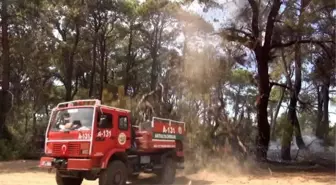 Manavgat'ta çıkan orman yangını havadan ve karadan müdahaleyle kontrol altına alındı