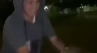 ARNAVUTKÖY'DE KEDİYİ HAVAYA FIRLATIP GÖRÜNTÜLERİ SOSYAL MEDYADA PAYLAŞTILAR