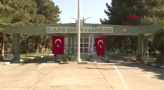 ELAZIĞ ŞEKER FABRİKASINDA PANCAR ALIM KAMPANYASI BAŞLADI