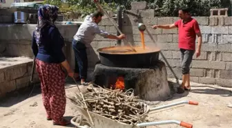 GAZİANTEP'TE PEKMEZ VE PESTİL TELAŞI BAŞLADI