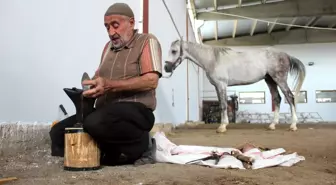 Dükkana getirilen at kalmayınca, seyyar nalbantlığa başladı