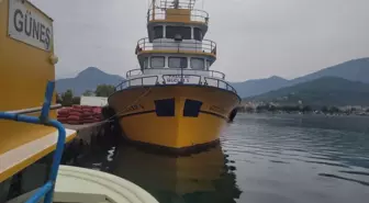 Karadeniz'de balık bolluğu yaşanıyor