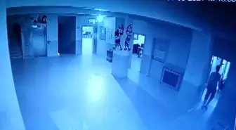 Okul fareleri kameraya yakalandı