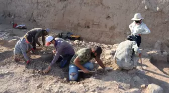 Suriye sınırındaki Oylum Höyük yönetim merkeziymiş