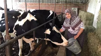 'Gençler hayvan bakmak istemeyince sektörde tehlike çanları çalmaya başladı'