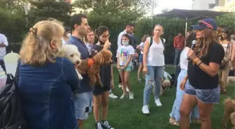 EVCİL HAYVANLAR 'KÖPEK FESTİVALİ'NDE SOSYALLEŞTİ