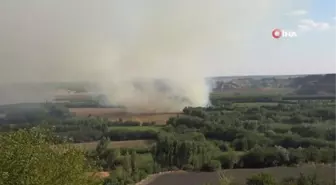 Son dakika haber! Hevsel Bahçelerinde henüz tespit edilemeyen bir nedenden dolayı yangın çıktı. İtfaiye ekipleri müdahale ediyor