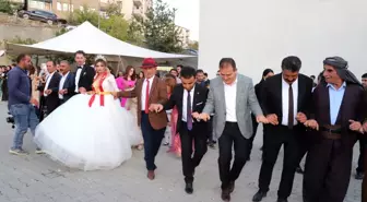Vali Akbıyık, aşiret düğününde halay çekti