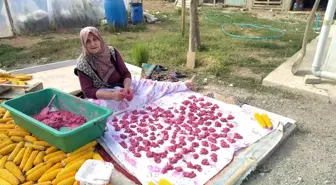 'Doktor Çorbası' ekşi tarhana şifa deposu