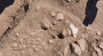 Domuztepe Höyüğü'nde Orta Çağ'da yaşamış çocuğun iskeleti bulundu