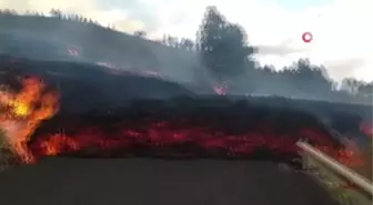 La Palma Yanardağı 100'den fazla evi yok etti