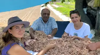 Muğla'nın kadınları Safran ile tanıştı