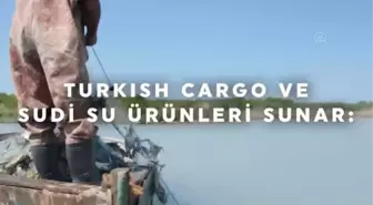 Turkish Cargo mavi yengeçlerin yolculuğunu anlatacak