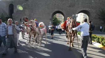 DİYARBAKIR - '11. Diyarbakır Karpuz Festivali' renkli görüntülere sahne oldu