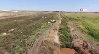 Şanlıurfa'da şarkılı türkülü pamuk hasadı