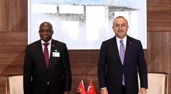 Dışişleri Bakanı Çavuşoğlu, Nijer Dışişleri Bakanı Massaoudou ile görüştü