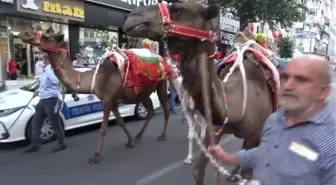 Diyarbakır 11. Karpuz Festivalini coşkuyla kutladı, sokaklarda develer karpuz taşıdı