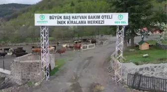 Hayvan oteli gurbetçilerin imdadına yetişiyor