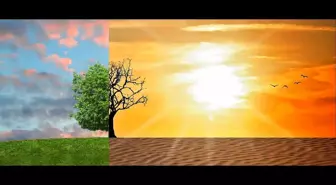 İklim Krizi nedir? İklim Krizinin önüne nasıl geçebiliriz?