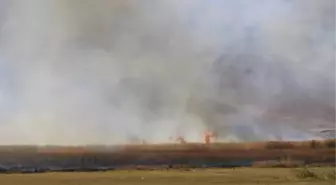 Yüksekova'daki kuş cennetinde sazlık yangını