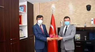 Aydın Cezaevi'nde kurulan pitaya serası ilk ürünlerini verdi