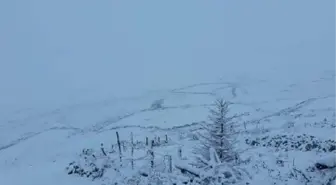 Doğu Karadeniz'de yaylalar beyaza büründü (2)