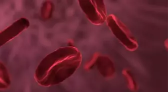 Eritrosit (RBC) nedir? Eritrosit yüksekliği, eritrosit düşüklüğü ne demektir? İdrarda Eritrosit nedir?