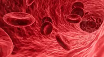 MCH nedir? MCH kaç olmalıdır? MCH yüksekliği, MCH düşüklüğü ne demektir? Nasıl tedavi edilir?