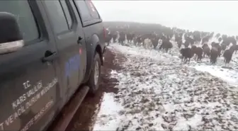 Allahuekber Dağları'nda kar ve tipide mahsur kalan iki çoban kurtarıldı