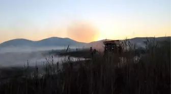 Son dakika haberi! Karamık Gölü'nün kuruyan bölgesinde çıkan yangında bin dekarlık alan kül oldu