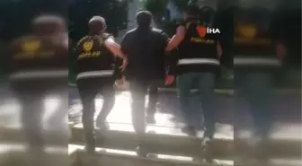 Büyükada'da evinin bahçesinde uyuşturucu yetiştirip satan şahıs yakalandı