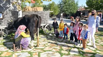 Altındağ'da süt günü etkinliği düzenlendi