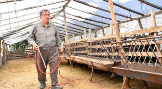 Hayvan üreticilerine ilaçlama desteği