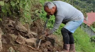 Atandığı ülkeye gidemeyen Türk büyükelçi, bağ bahçe işleri yapıyor