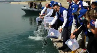 Bakan Pakdemirli: Doğal kaynakları verimli kullanmak zorunluluk haline geldi (2)