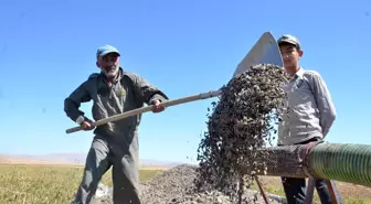 Başkan Bulut'tan 'TMO çerezlik ayçeğirdeğini de alsın' teklifi